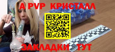 spice Обнинск