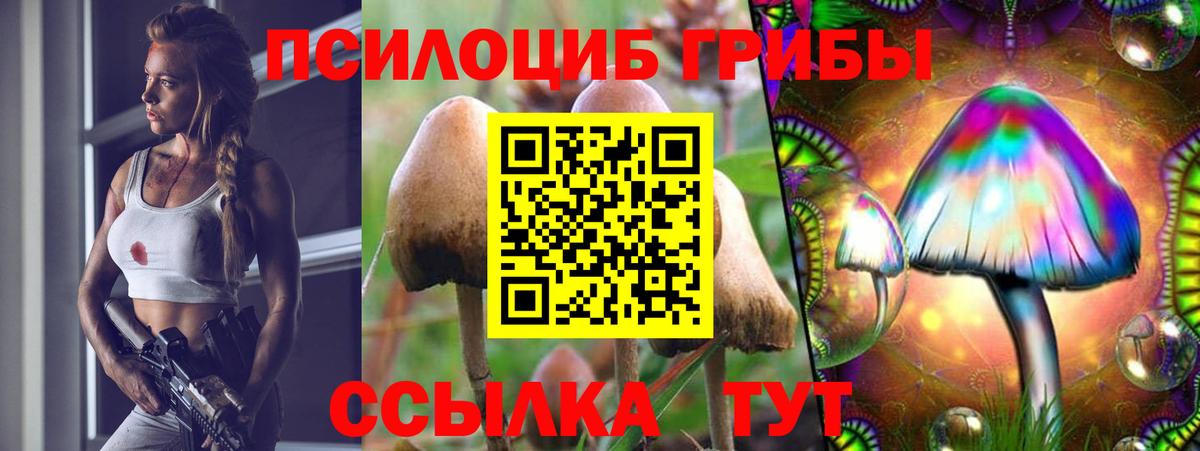 Ахтубинск  Псилоцибиновые грибы мухоморы  Псилоцибиновые грибы Psilocybine cubensis  Вход с VPN 